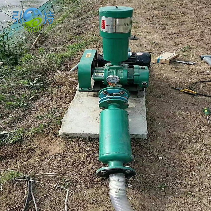 ʻO ka hoʻomaʻamaʻa ʻana i ka wai ʻino ʻino ʻo Aeration Roots Blower: Hoʻonui i ka maikaʻi i ka hoʻokele wai ʻino