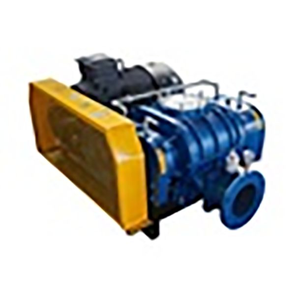ʻO ka loiloiʻana o ka pilikiaʻo Rotor Clearance o ka Gloter Bloter Bloter no ka pauka