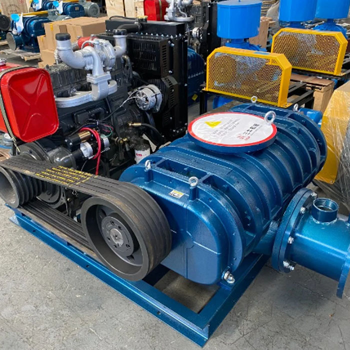 Pumi Kiekie Ekolu Lobes Diesel Roots Blower